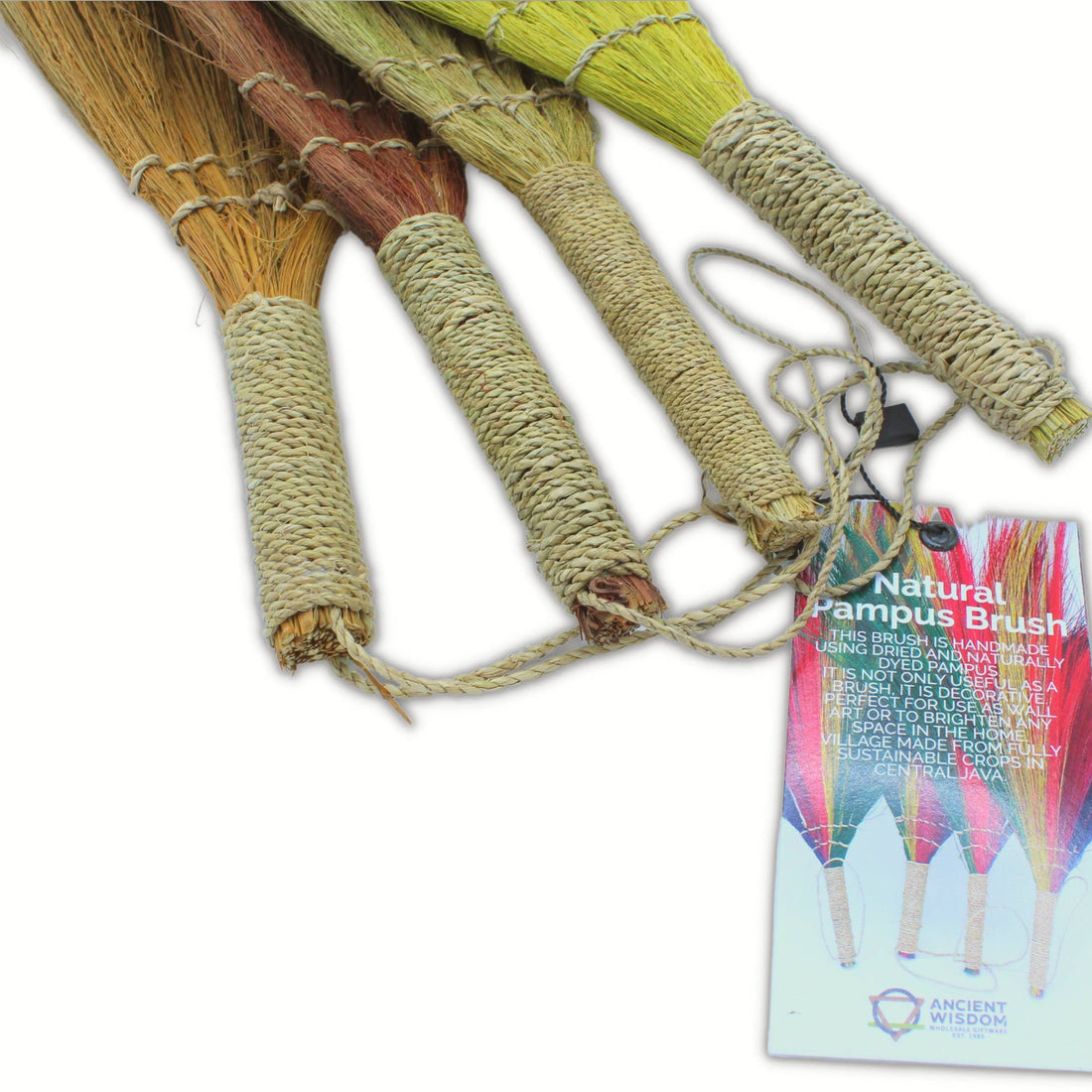 Set 4 - Pampus Long Broom - Natural colours - best price from Maltashopper.com NPB-02