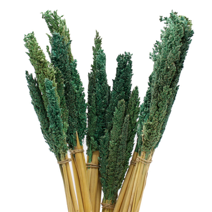 Cantal Grass Bunch - Teal - best price from Maltashopper.com CGB-08
