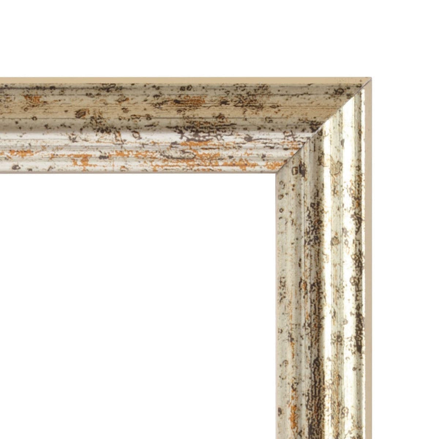 Bricocenter CLAUDIA FRAME 24X30 CM GOLD SILVER