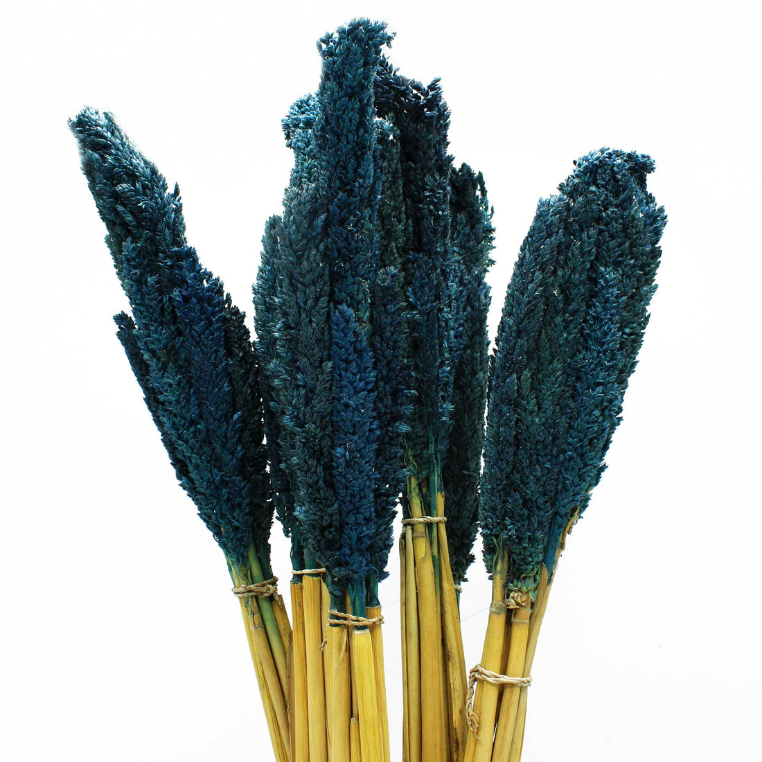 Cantal Grass Bunch - Blue - best price from Maltashopper.com CGB-09