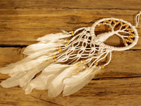 Tree of Life Dreamcatcher - Pure & Natural 16cm - best price from Maltashopper.com TOLD-04