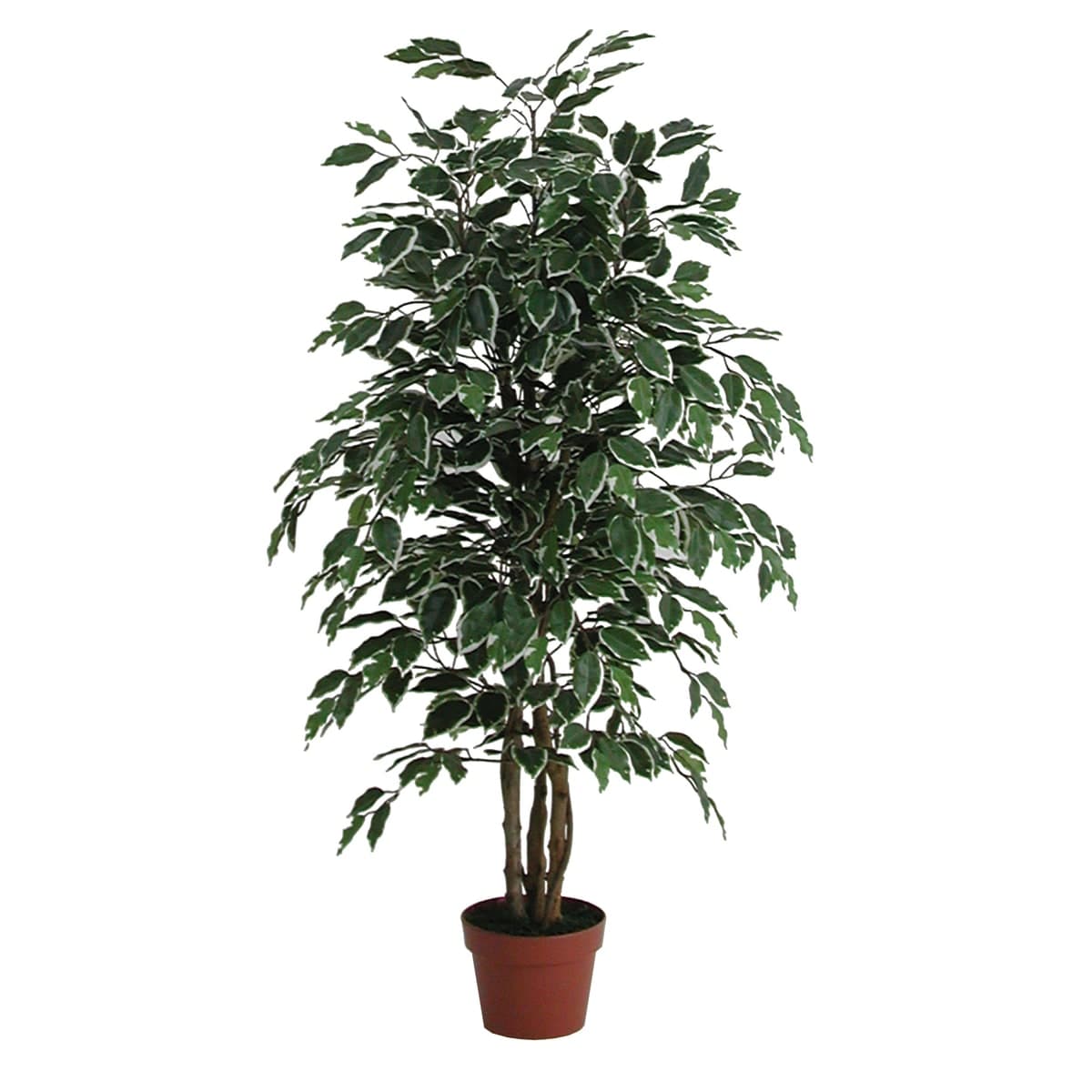 ARTIFICIAL FICUS VARIEGATED POT PLANT DIAMETER 17 X H.125 - best price from Maltashopper.com BR510006188