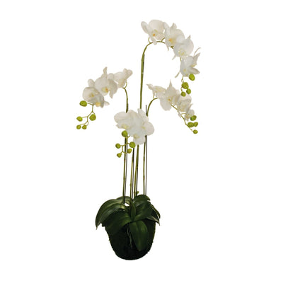PHALAENOPSIS REAL TOUCH 108 CM 4 BRANCHES - best price from Maltashopper.com BR510006184