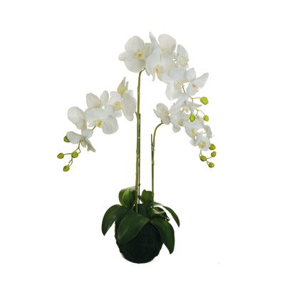 PHALAENOPSIS REAL TOUCH CM 83 3 BRANCHES - best price from Maltashopper.com BR510006185