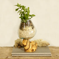 Molten Glass on Wood - Medium Bowl - best price from Maltashopper.com MGW-02