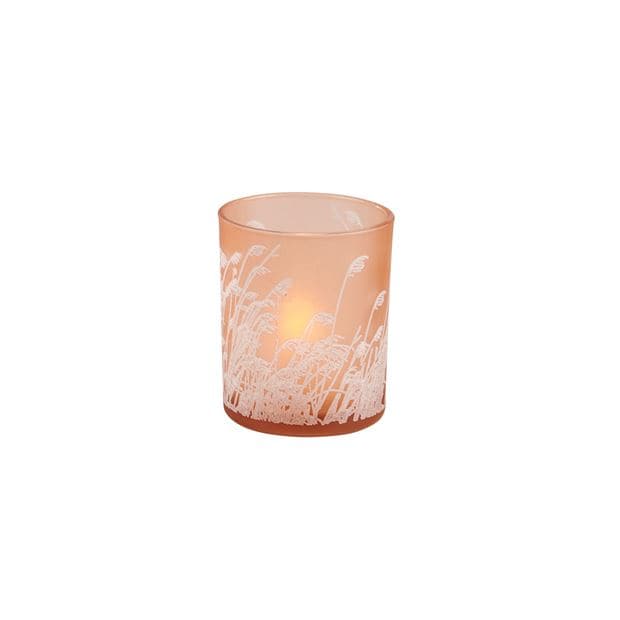 PAMPAS Partylight orange H 8 cm - Ø 7 cm - best price from Maltashopper.com CS672154