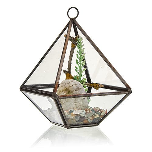 Glass Terrarium - Small Diamond - best price from Maltashopper.com GTER-01