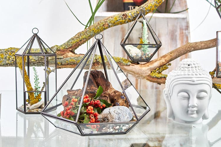 Glass Terrarium - Small Diamond - best price from Maltashopper.com GTER-01