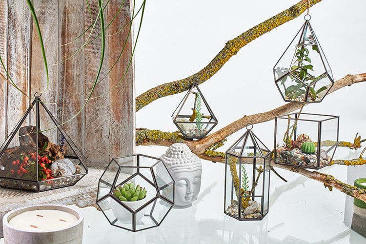 Bliss Glass Terrarium - Small Diamond