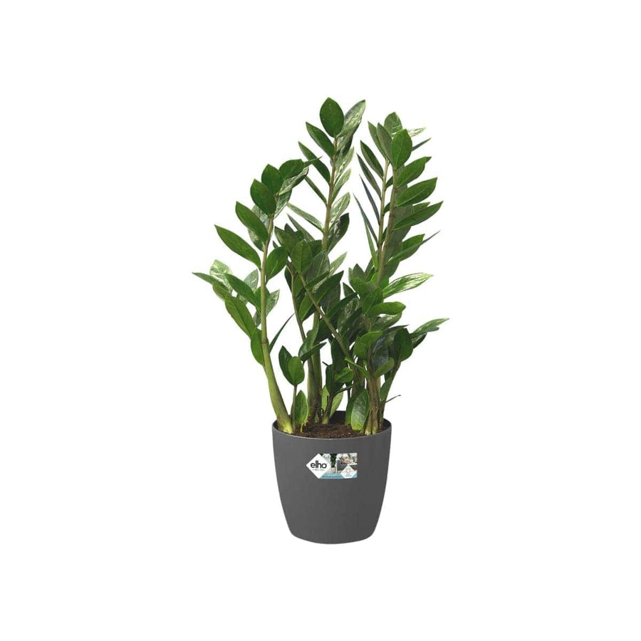 Bricocenter BRUSSELS COVER WITH WHEELS ANTHRACITE CM 47