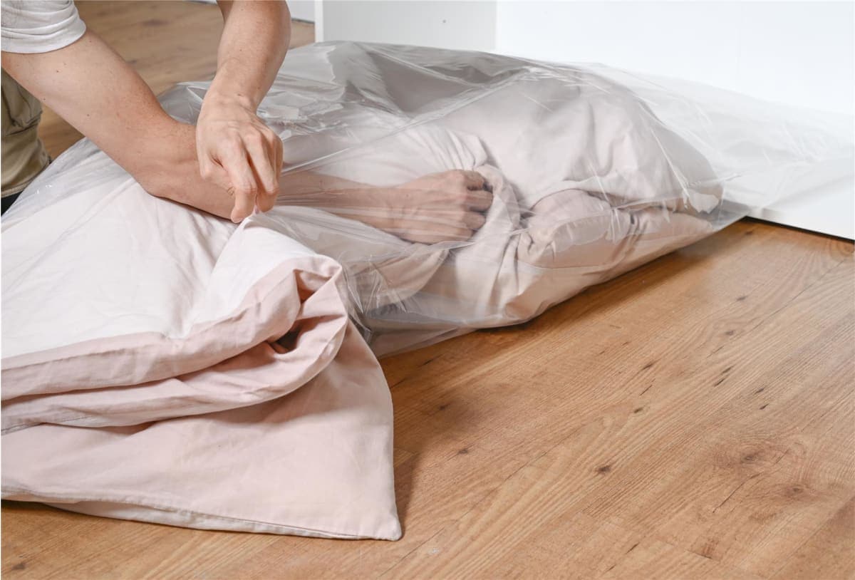 SET OF 2 VACUUM BAGS WITH HANGER SIZE XXL 60X150 SPACEO - best price from Maltashopper.com BR410001602