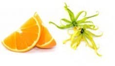 Ylang & Orange - Red - EO Soap Slice - best price from Maltashopper.com ASOAP-07DS