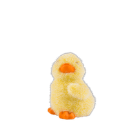 FLOCK Yellow chicken, 3 shapes - best price from Maltashopper.com CS627459-YELLOW