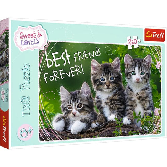 260 Piece Puzzle - Feline Friendship