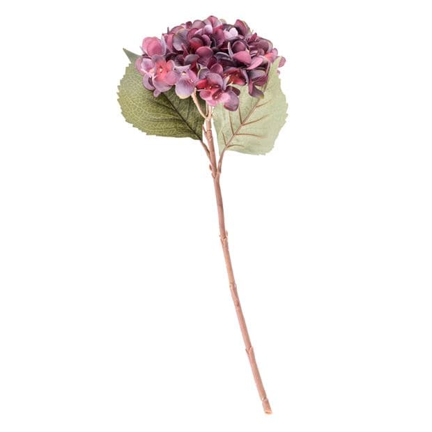 Casa HYDRANGEA Ortensia bordeaux, L 46 cm