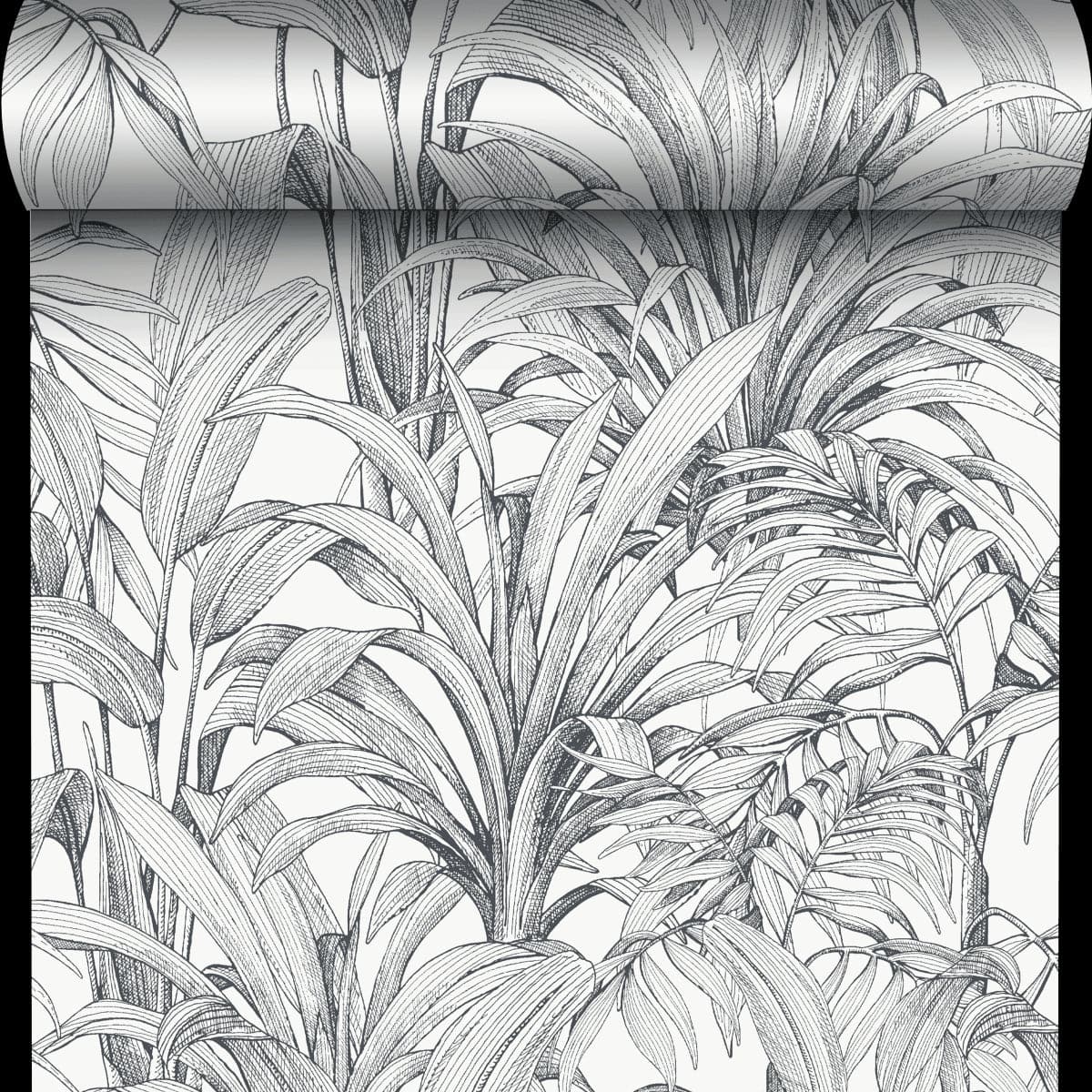 Bricocenter BLACK FERN WALLPAPER ON WHITE BACKGROUND 53CMX10.5M