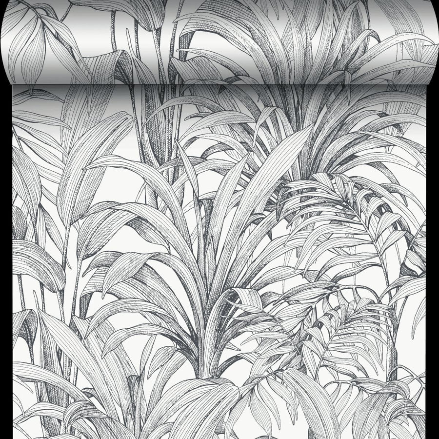 Bricocenter BLACK FERN WALLPAPER ON WHITE BACKGROUND 53CMX10.5M