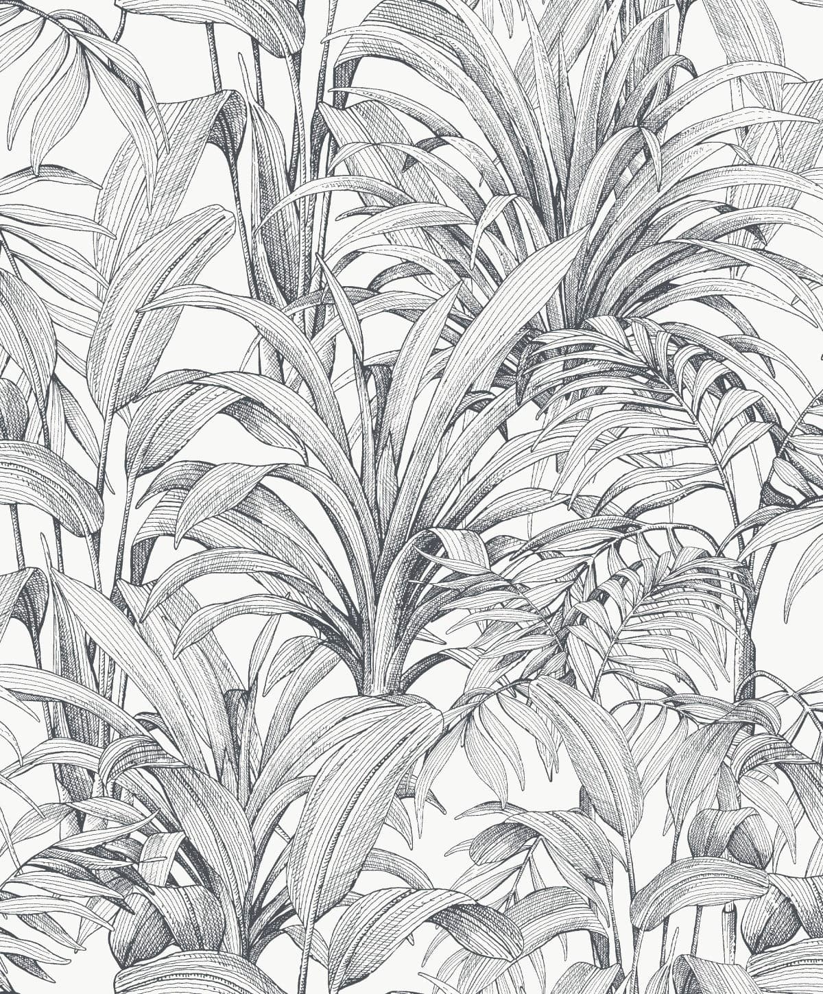 BLACK FERN WALLPAPER ON WHITE BACKGROUND 53CMX10.5M - best price from Maltashopper.com BR480010858