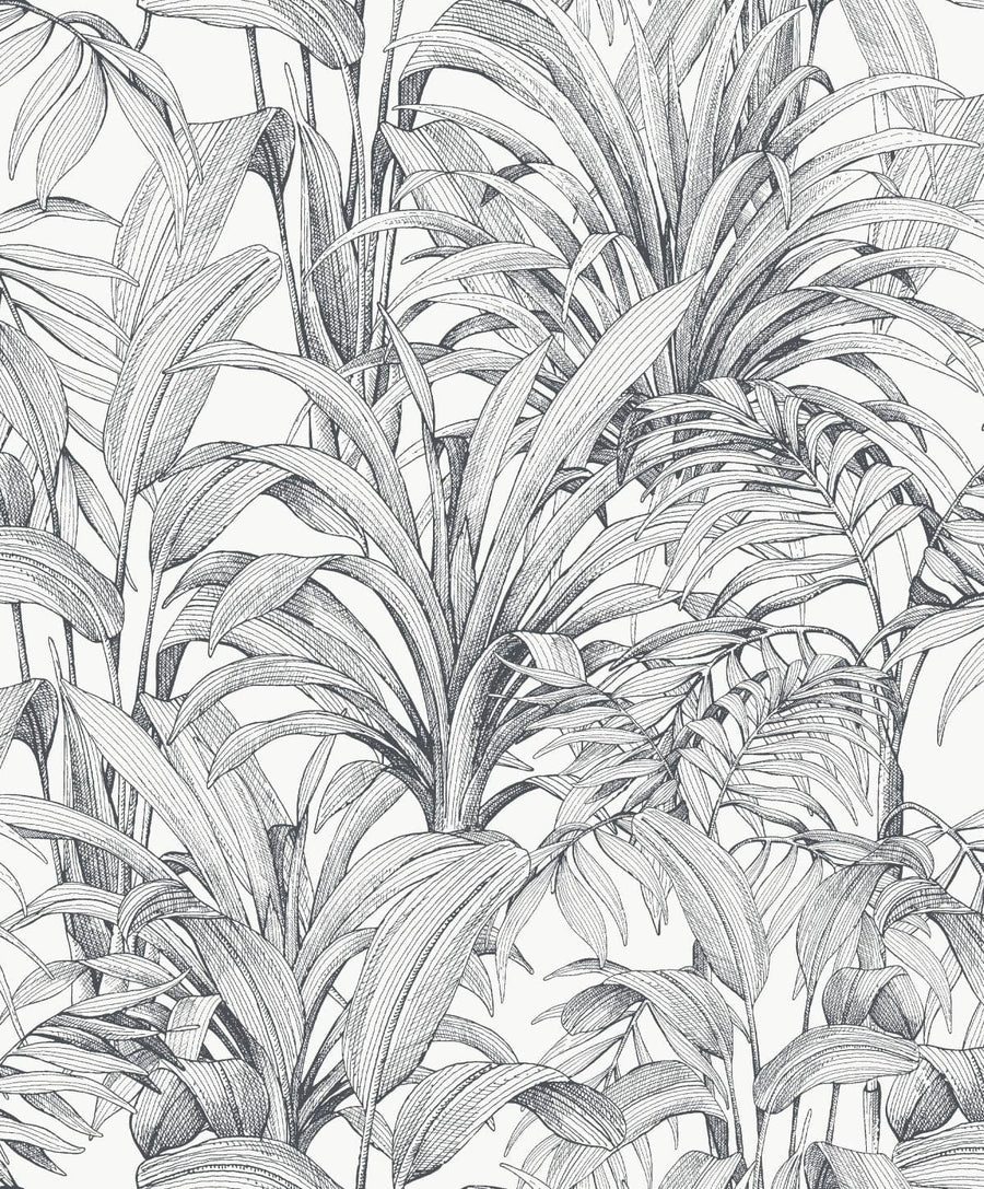 BLACK FERN WALLPAPER ON WHITE BACKGROUND 53CMX10.5M - best price from Maltashopper.com BR480010858
