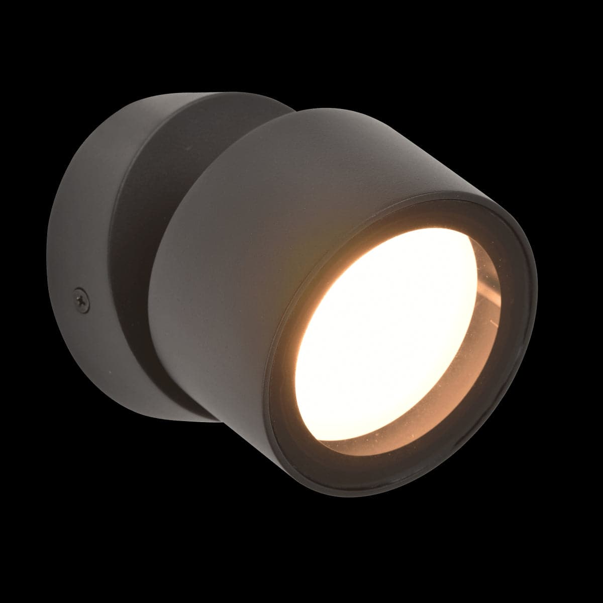 ORTEGA ALUMINIUM WALL LIGHT BLACK D10XH9 CM GX53=25W ADJUSTABLE IP44 - best price from Maltashopper.com BR420007264