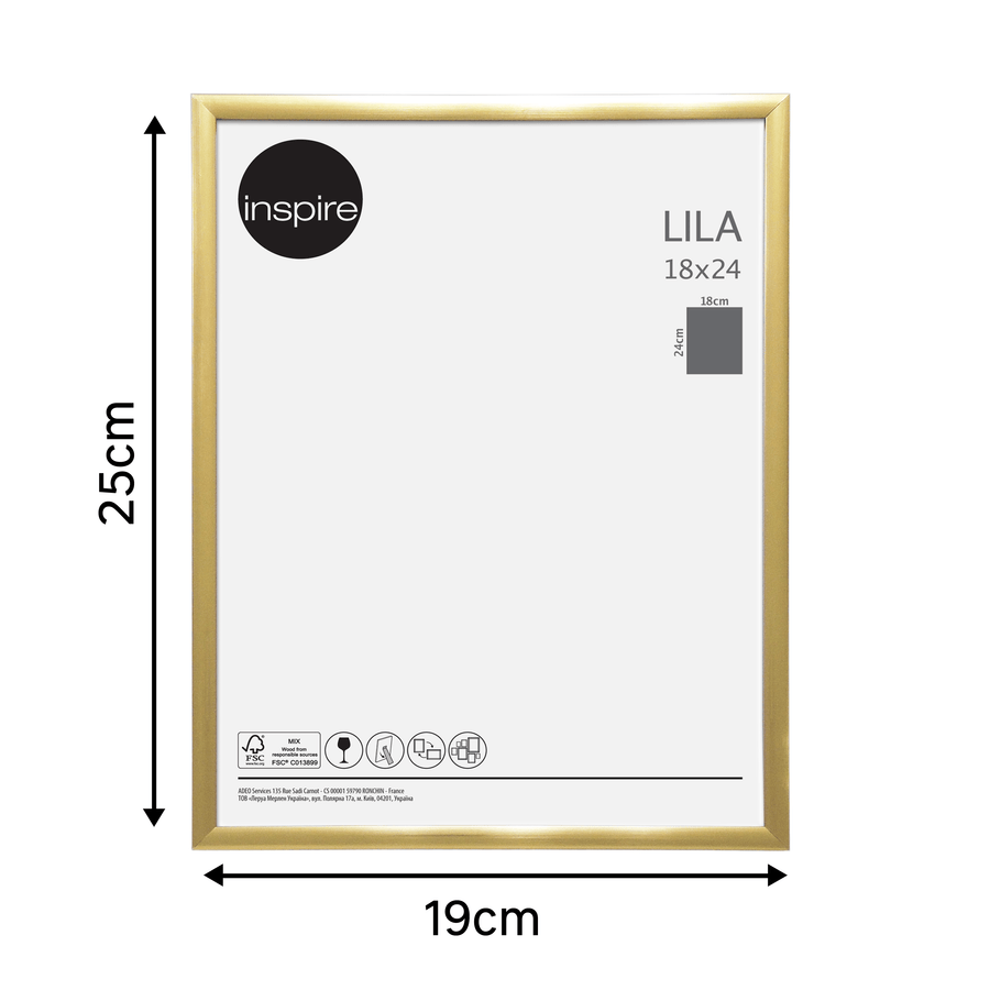 Bricocenter LILA 18X24 CM PVC GOLD FRAME