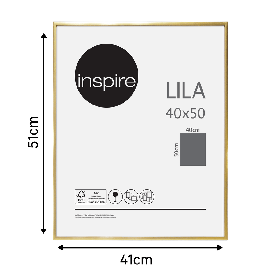 Bricocenter LILA 40X50 CM PVC GOLD FRAME