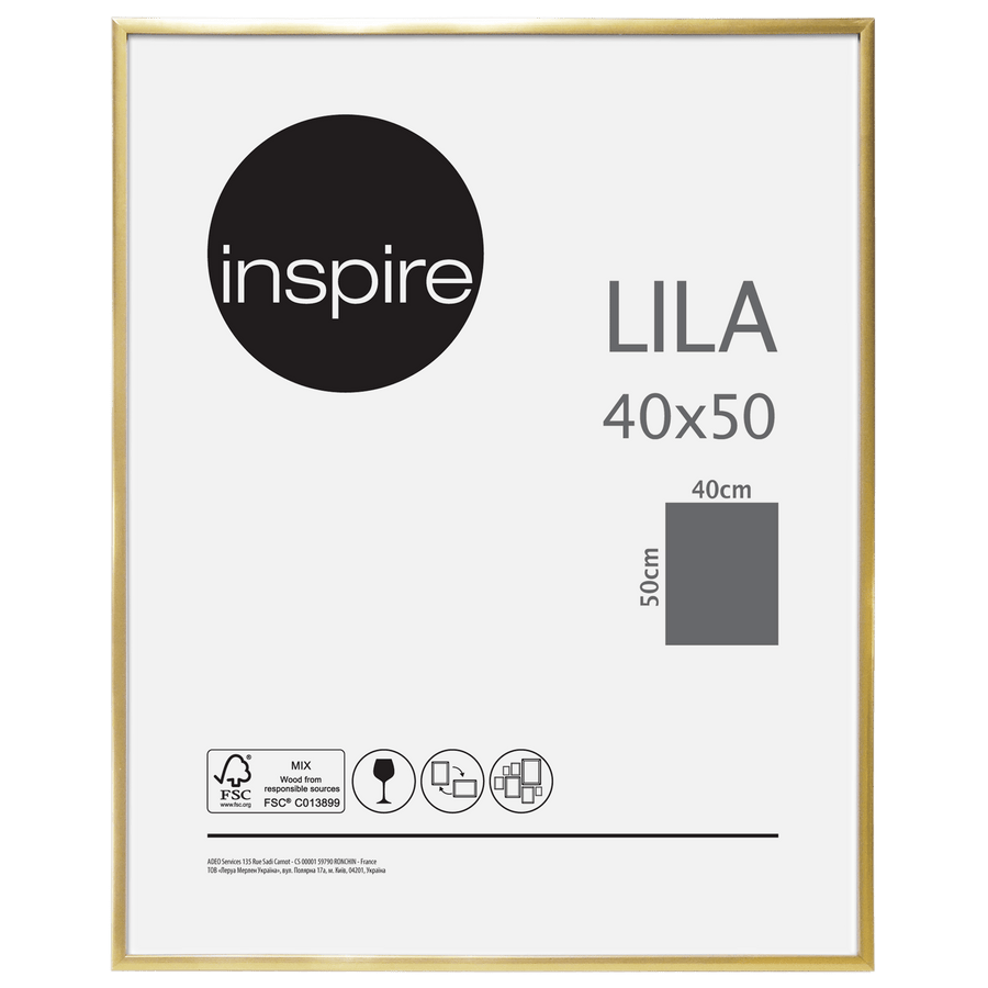 Bricocenter LILA 40X50 CM PVC GOLD FRAME