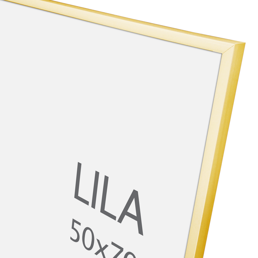 Bricocenter LILA 50X70 CM PVC GOLD FRAME