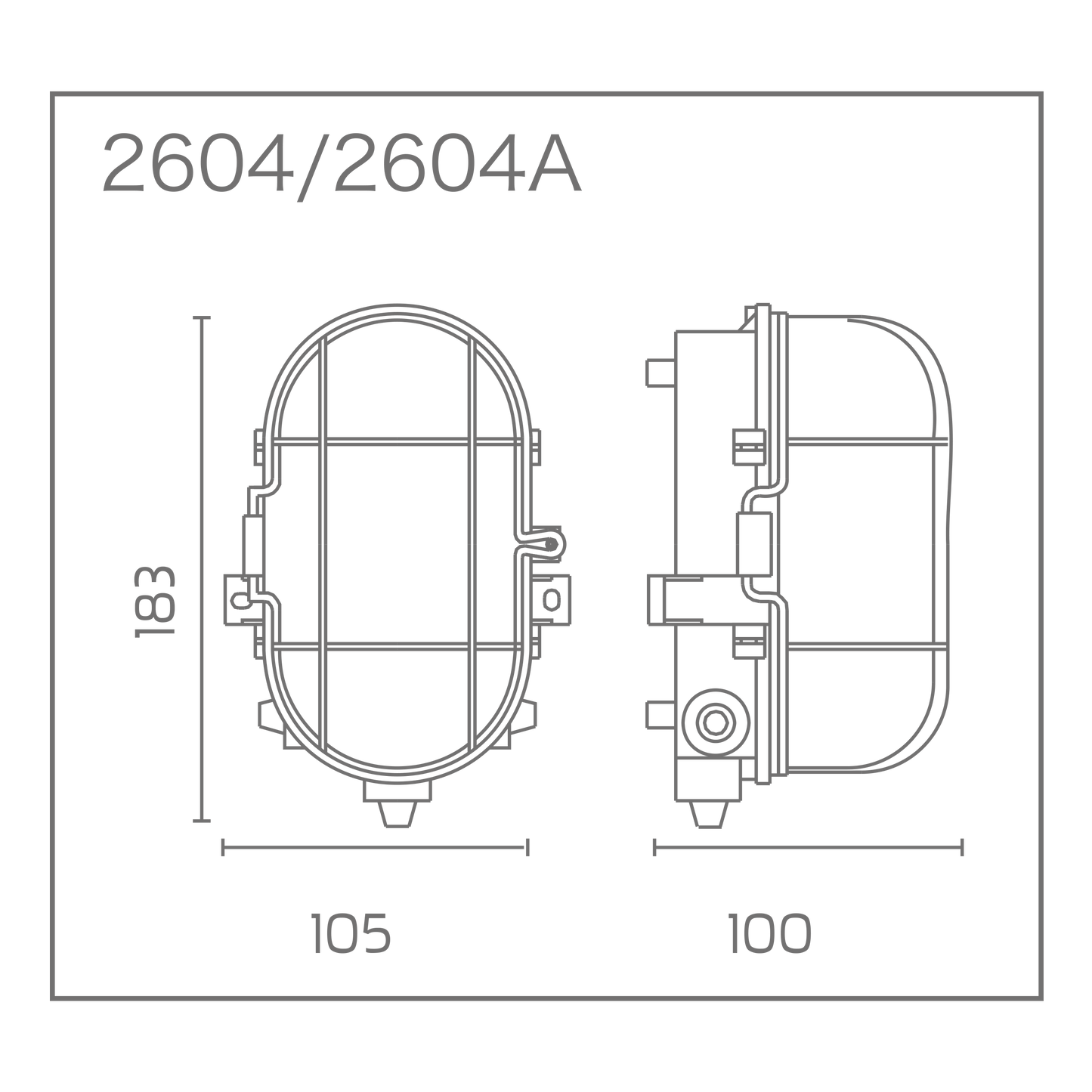 Bricocenter OVAL CEILING LIGHT WITH PLASTIC CAGE WHITE 10.5X18.3 CM E27=60W IP44