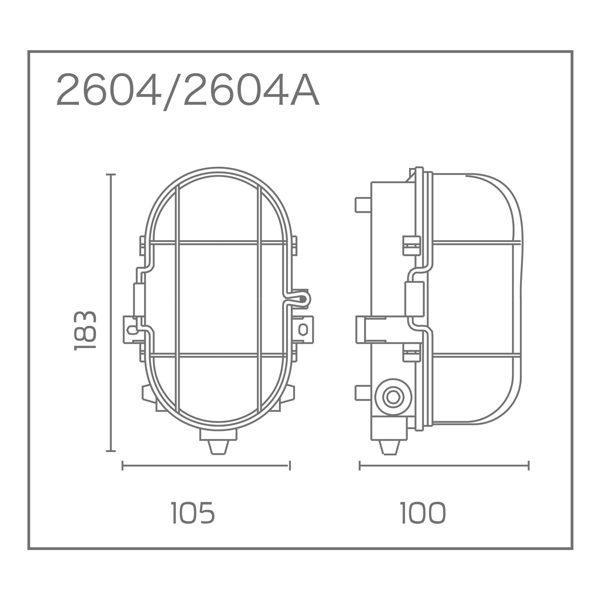Bricocenter OVAL CEILING LIGHT WITH PLASTIC CAGE WHITE 10.5X18.3 CM E27=60W IP44