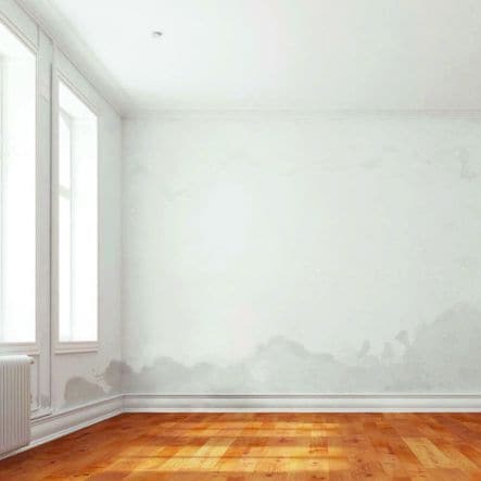 Bricocenter LUXENS ANTI-MOULD WASHABLE WHITE PAINT 14LT