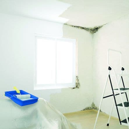 Bricocenter LUXENS ANTI-MOULD WASHABLE WHITE PAINT 14LT