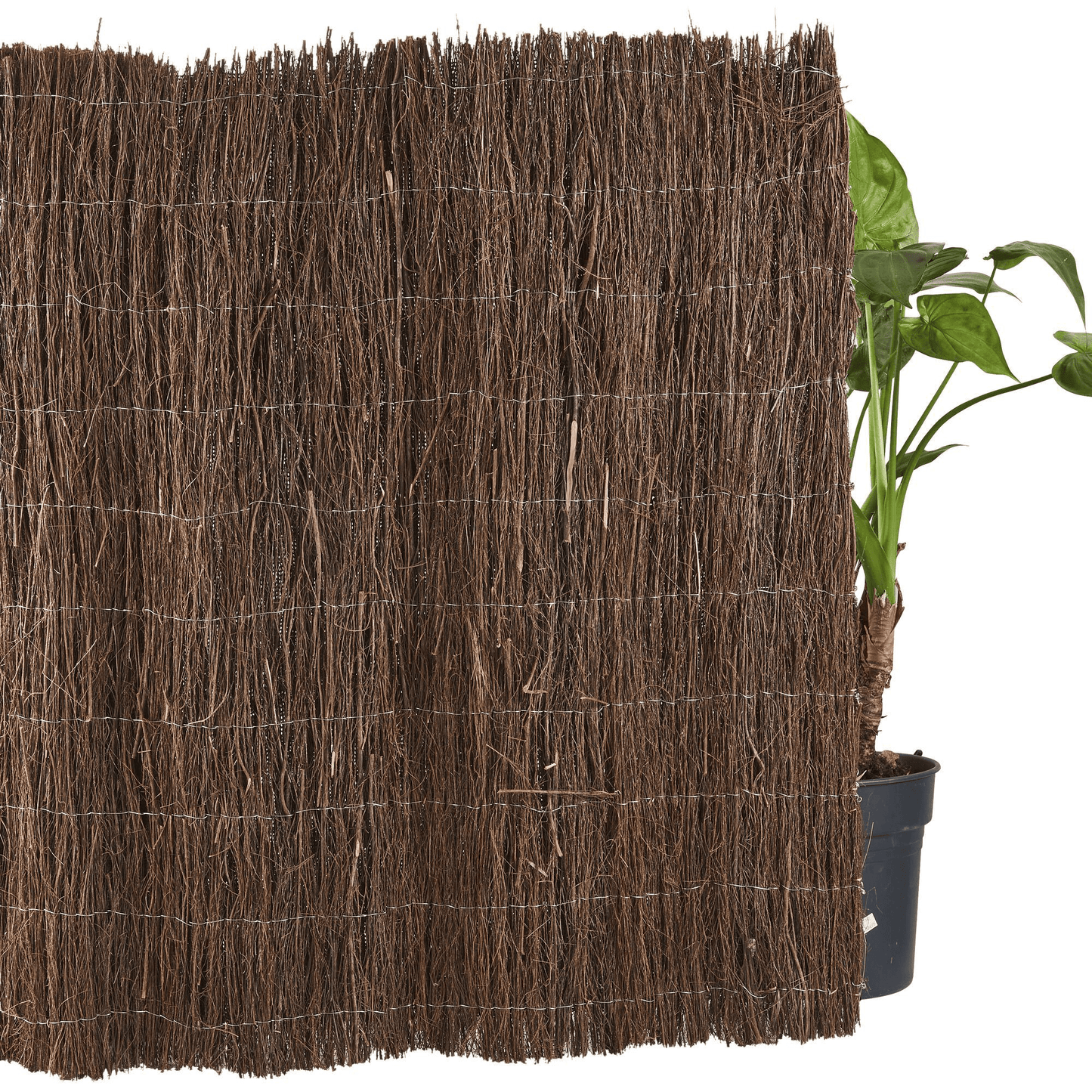 Bricocenter NATERIAL NATURAL ARELLA 1X3MT HIGH COVER
