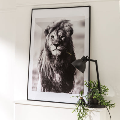 Bricocenter LILA FRAME 40X50 CM PVC BLACK