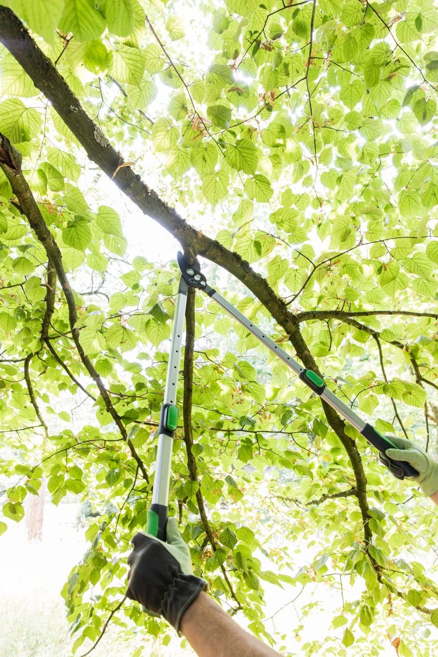 GEOLIA ALUMINIUM 66-90 CM EXTENDABLE LOPPERS - Premium Windrowers and Loppers from Bricocenter - Just €42.99! Shop now at Maltashopper.com