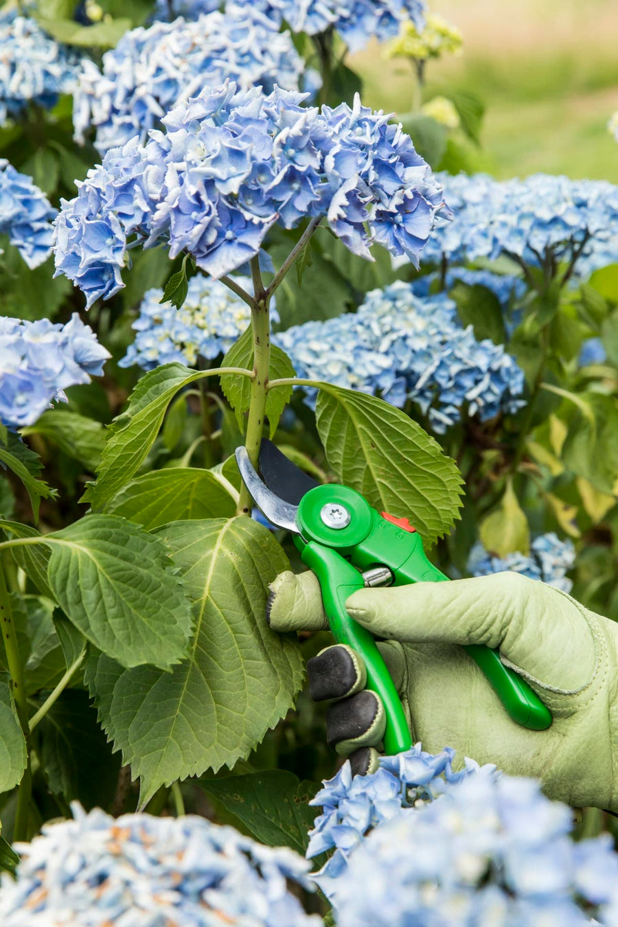 GEOLIA GARDEN SHEAR BYPASS CUT UP TO 16 MM