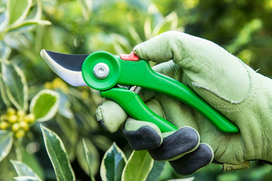GEOLIA GARDEN SHEAR BYPASS CUT UP TO 18 MM - best price from Maltashopper.com BR500010482