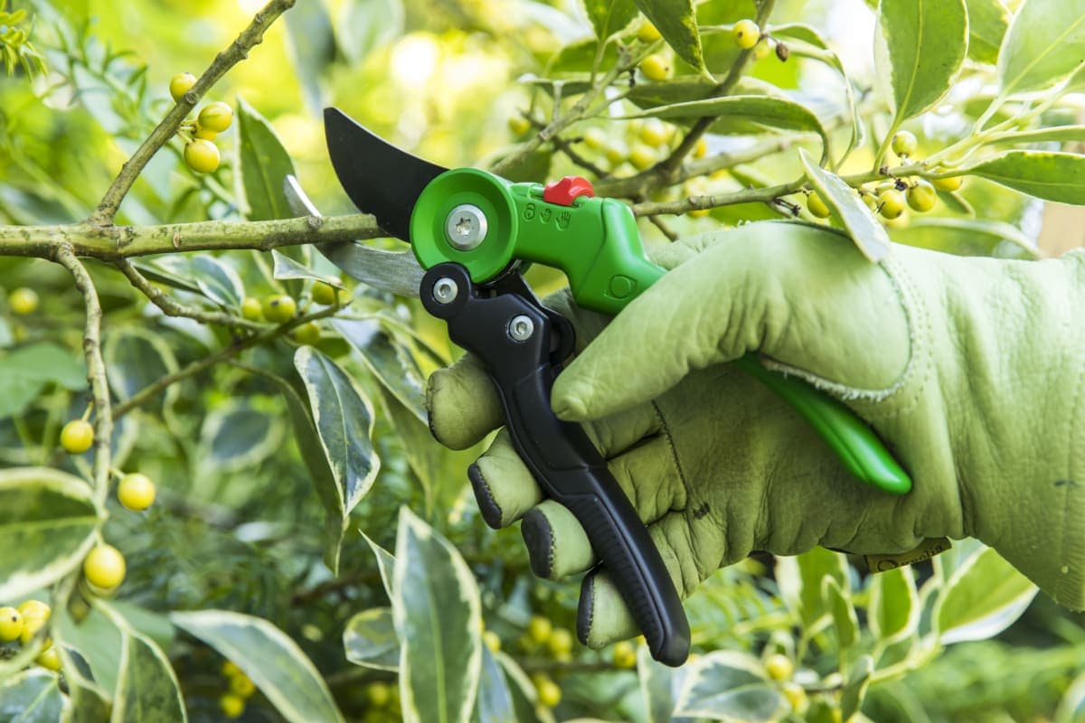 Bricocenter GEOLIA GARDEN SHEAR BYPASS CUT UP TO 18 MM WITH ADJUSTABLE HANDLE