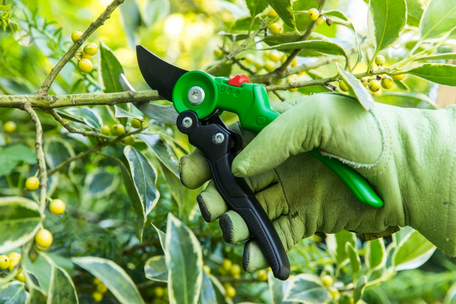 Bricocenter GEOLIA GARDEN SHEAR BYPASS CUT UP TO 18 MM WITH ADJUSTABLE HANDLE