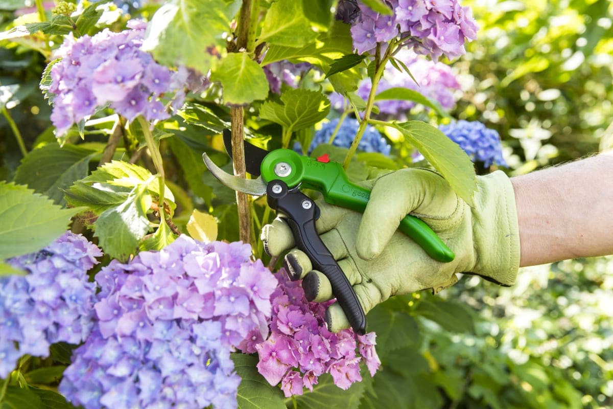 GEOLIA GARDEN SHEAR BYPASS CUT UP TO 18 MM WITH ADJUSTABLE HANDLE