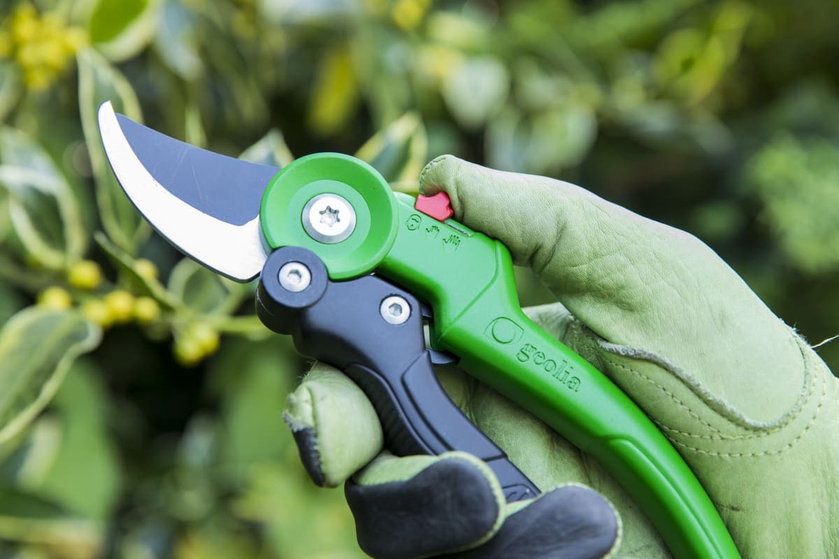 GEOLIA GARDEN SHEAR BYPASS CUT UP TO 18 MM WITH ADJUSTABLE HANDLE - Premium Pruning shears and scissors from Bricocenter - Just €18.99! Shop now at Maltashopper.com