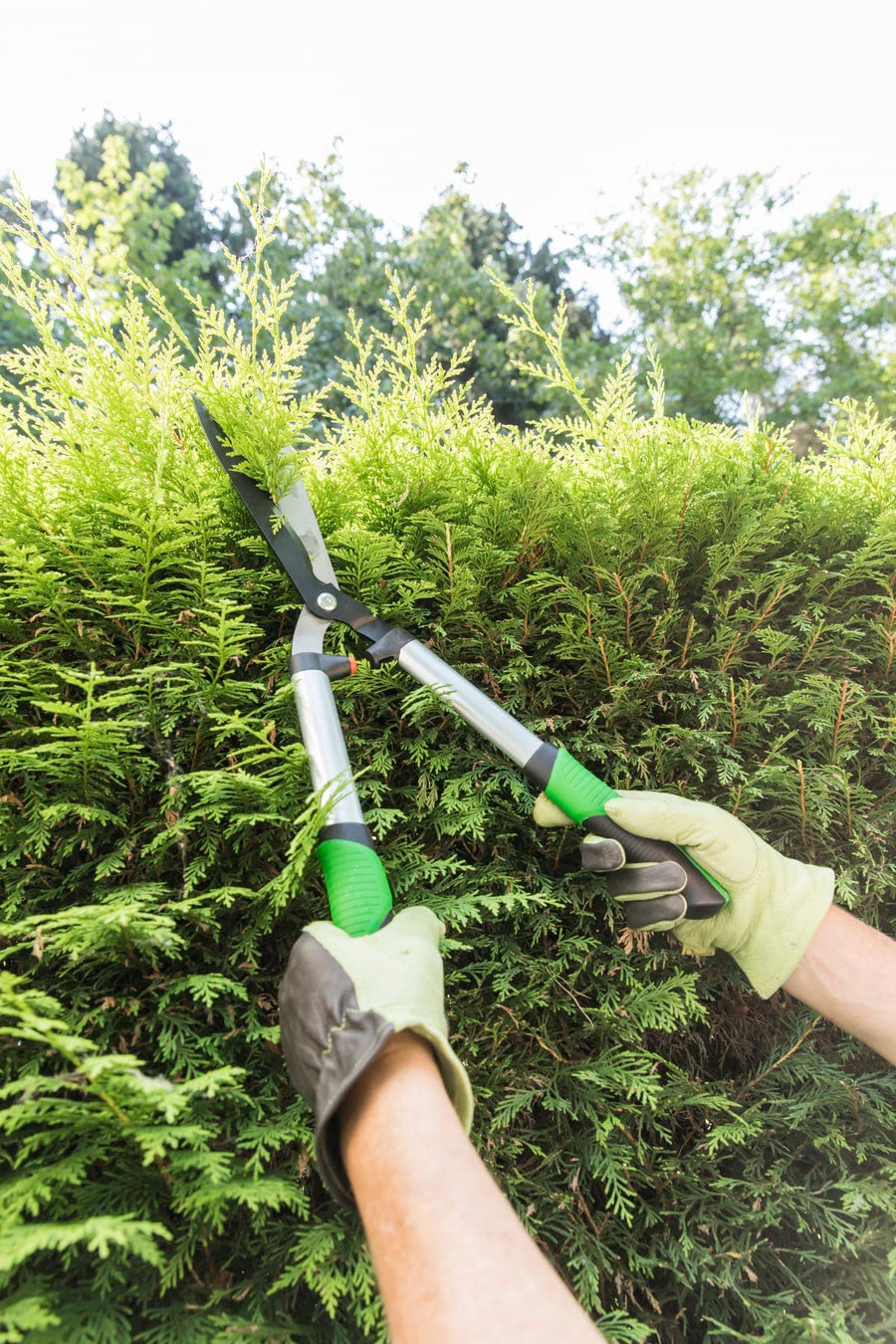 GEOLIA ALUMINIUM HEDGE TRIMMER WITH WAVE BLADES - best price from Maltashopper.com BR500010491
