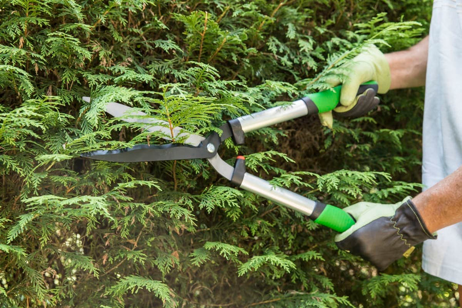 Bricocenter GEOLIA ALUMINIUM HEDGE TRIMMER WITH WAVE BLADES