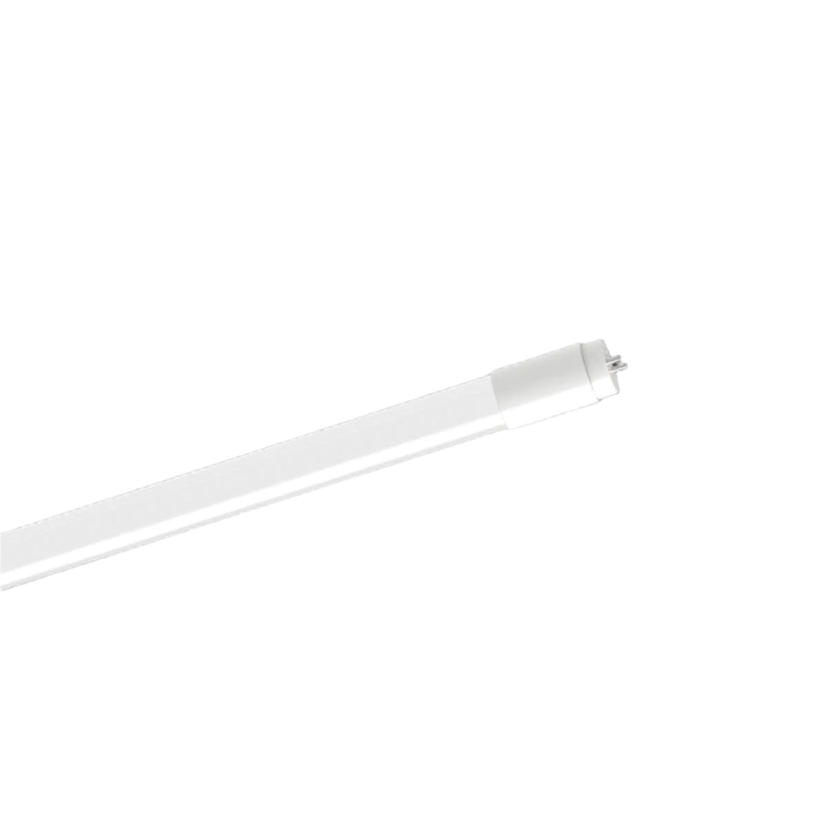 LED TUBE T8 G13 8W 59CM COLD LIGHT - best price from Maltashopper.com BR420007983
