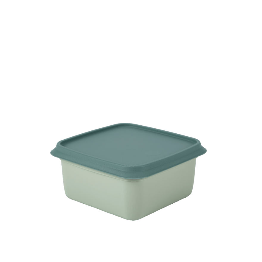 FREEZER Freezer boxes set of 10 mint, dark green - best price from Maltashopper.com CS687225