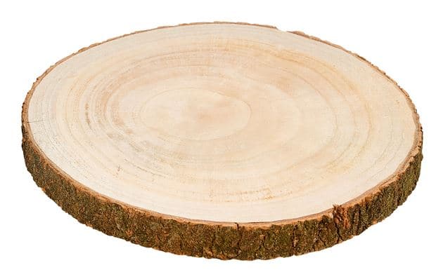 PAULO Brown wooden plate H 3,5 cm - Ø 36 cm