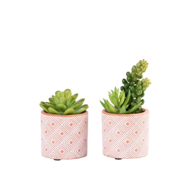 TERRACOTTA artificial succulent, 2 shape variants - best price from Maltashopper.com CS649362