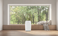 PORTABLE AIR CONDITIONER 12000 btu cooling only Zephir