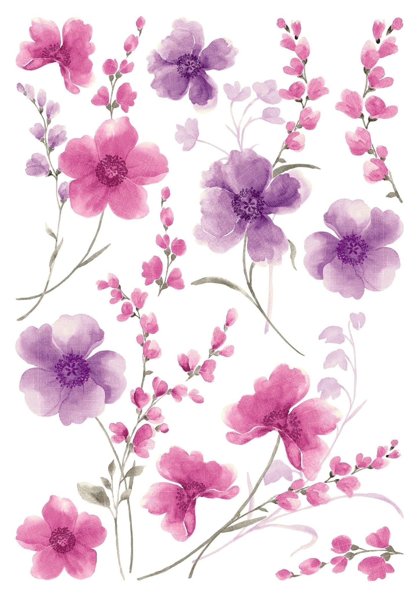 Bricocenter WALL STICKER FLOWERS VIOLET L 47.5X67