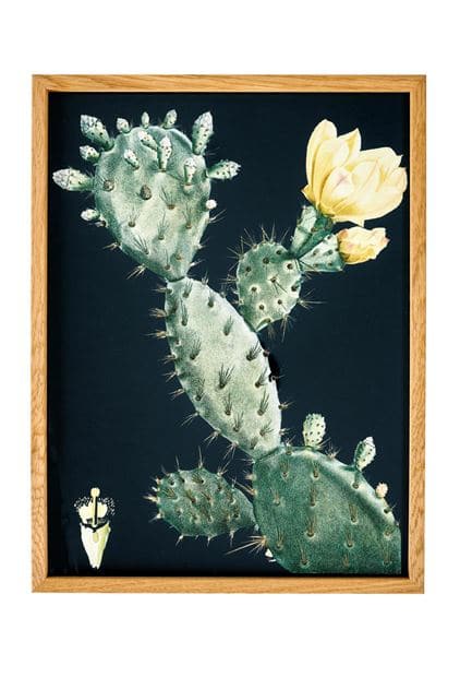 Casa CACTUS Wall deco various colors, black, green H 40 x W 30 cm